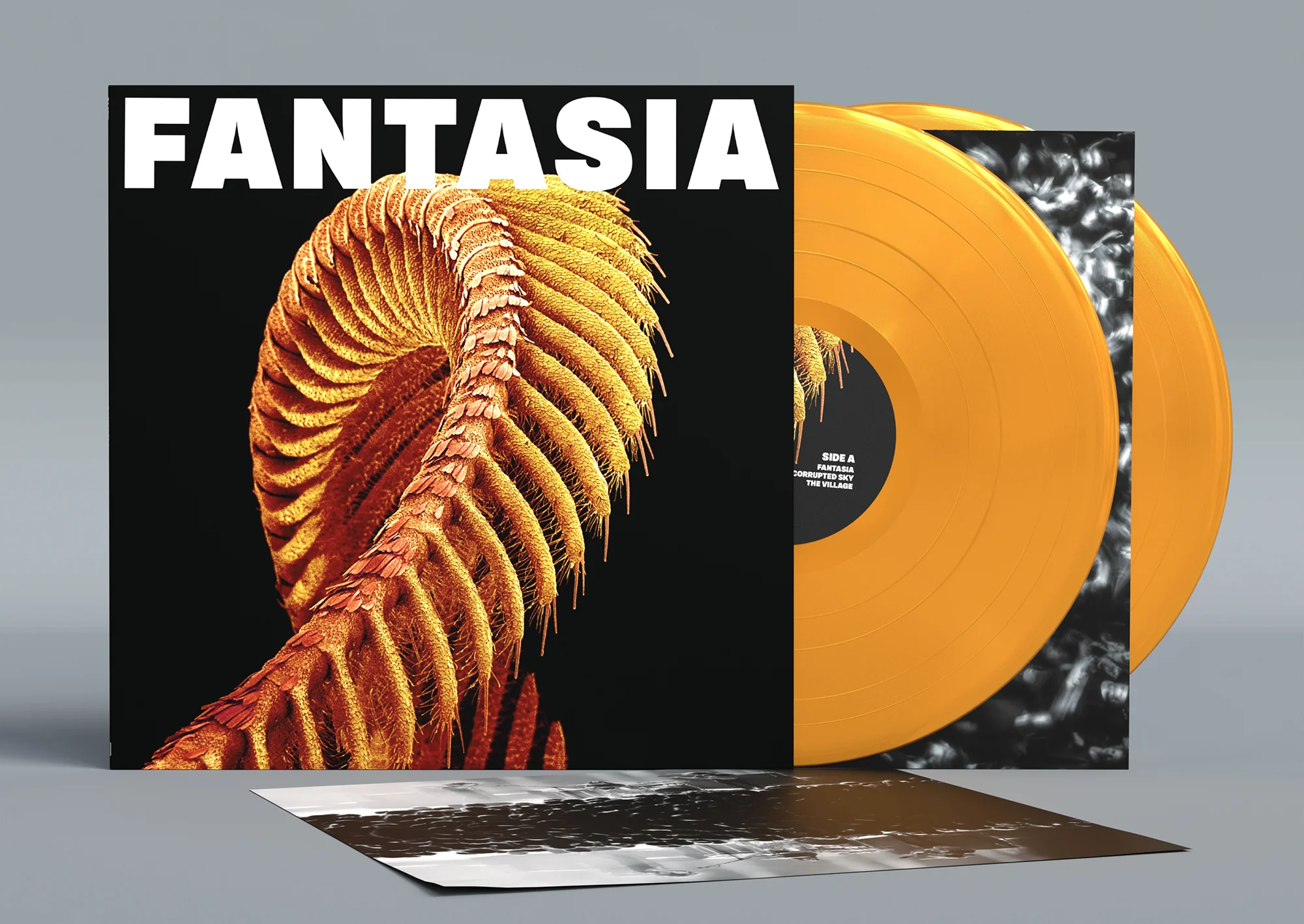 New Releases
